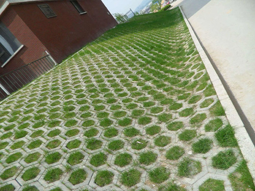水泥草坪砖应用
